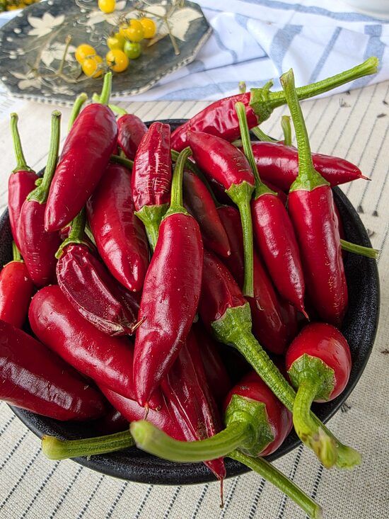 PAPRIKOS (aitriosios)