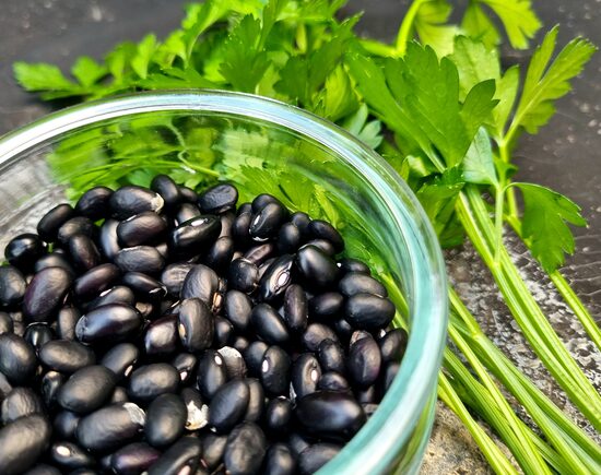 Pupelės BLACK TURTLE