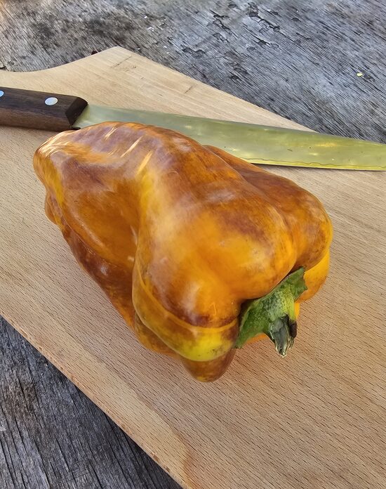 Saldžioji paprika Blot (Kliaksa)