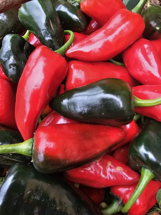 Aitrioji paprika JUMBO Jalapeno
