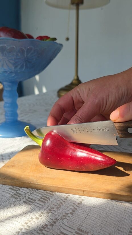 Saldžioji paprika VIOLET SPARKLE