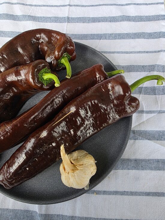 Saldžioji paprika Corno di Toro Chocolate