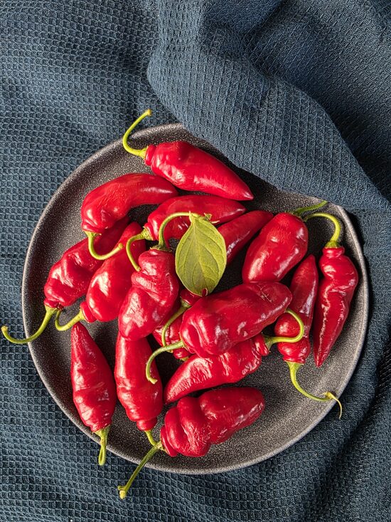 Aitrioji paprika Rocoto Aji Largo 
