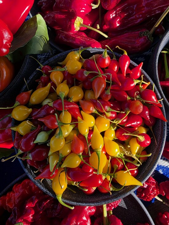 Aitrioji paprika Biquinho Red