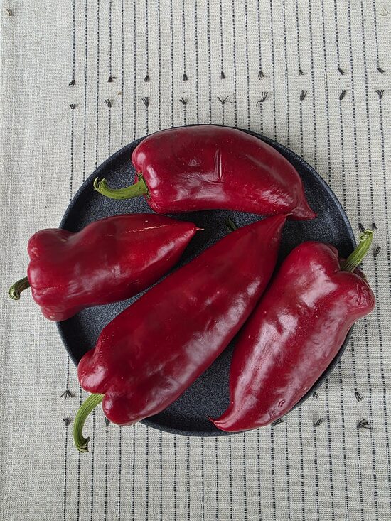 Saldžioji paprika AJAVARSKI