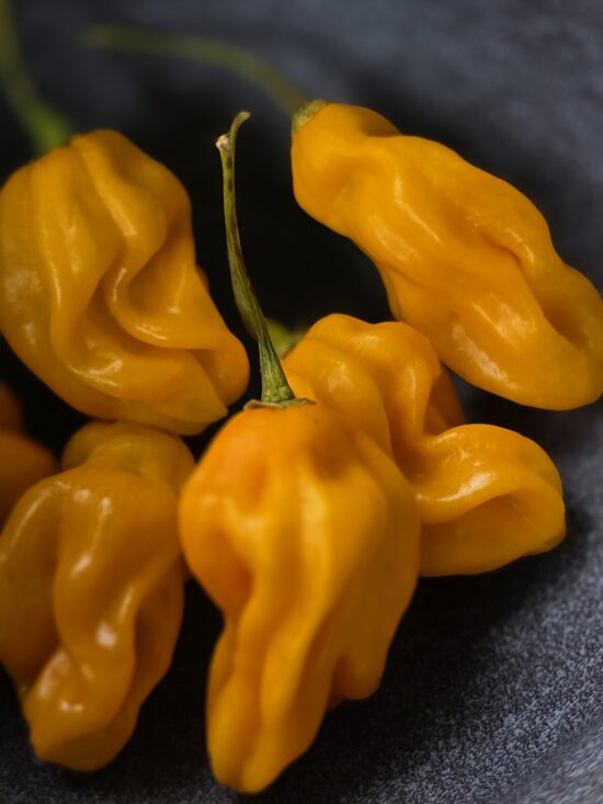 Aitrioji paprika Ojeenmma 