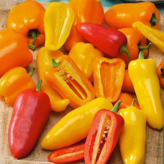 Aitrioji paprika SANTA FE GRANDE