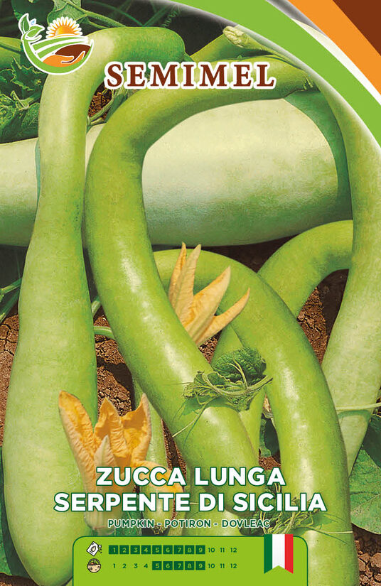 Zucca Serpente di Sicilia