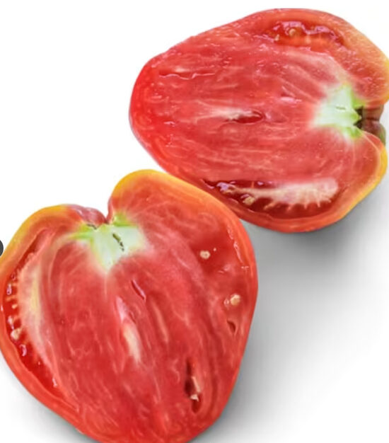 Aukštaūgis pomidoras HUNGARIAN HEART