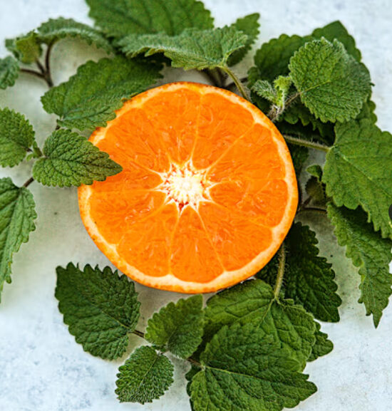 Vaistinė melisa MANDARINA