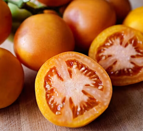 Aukštaūgis pomidoras ORANGE PEACH