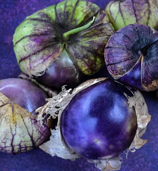 Dumplūnė PURPLE